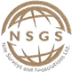 Nile Surveys and Geo-Solutions